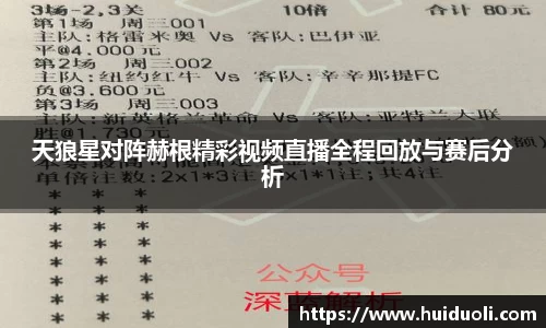 天狼星对阵赫根精彩视频直播全程回放与赛后分析